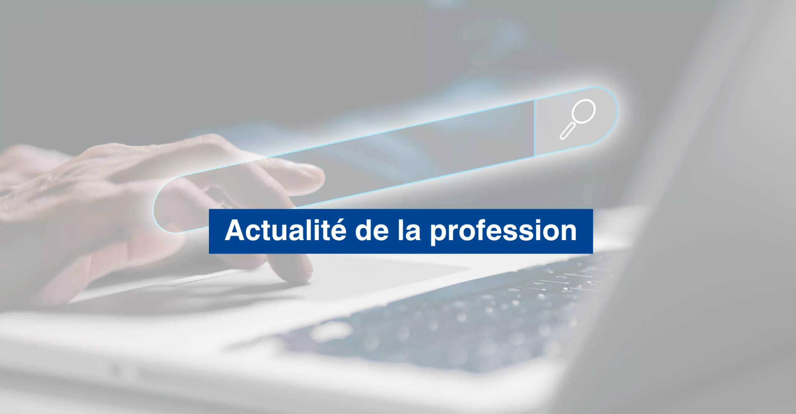 Consultation des listes électorales