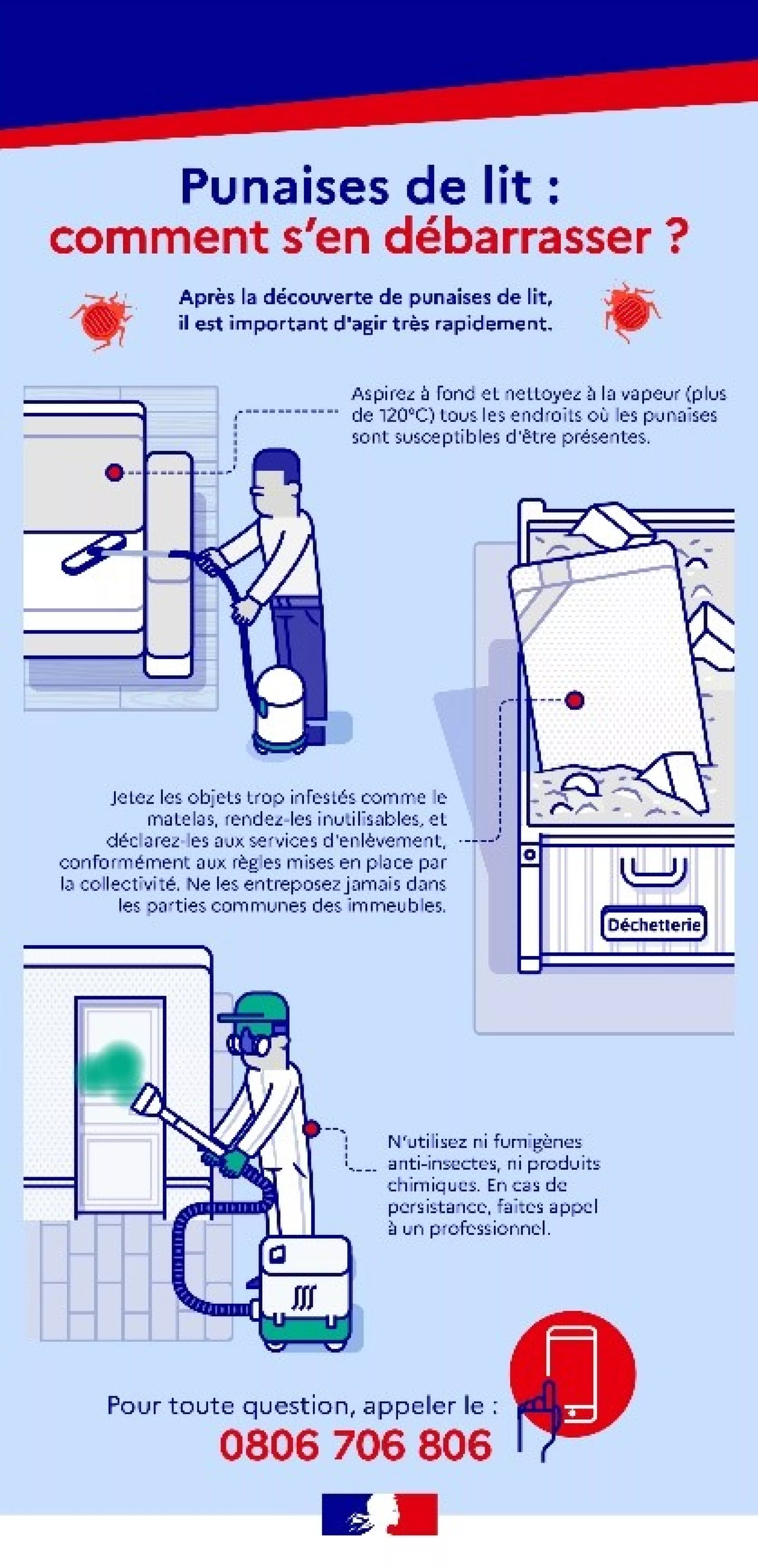 Punaises de lit : comment s'en débarrasser ?